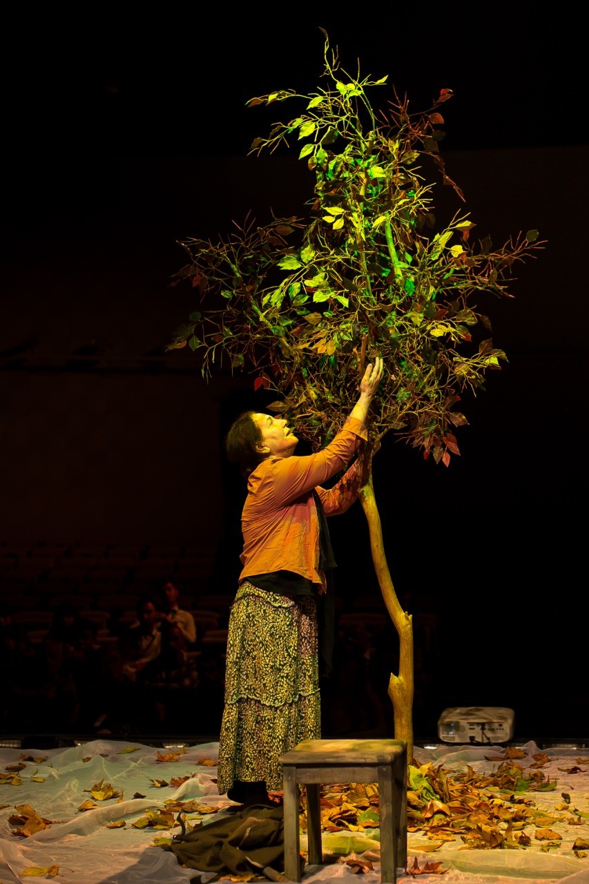 bir-payizin-iki-teatr-festivali