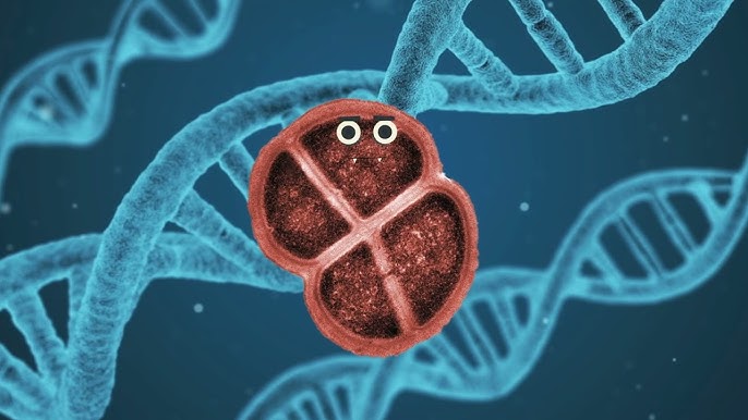 kosmos-sualarindan-insanlari-qoruyacaq-mikrob-deinococcus-radiodurans